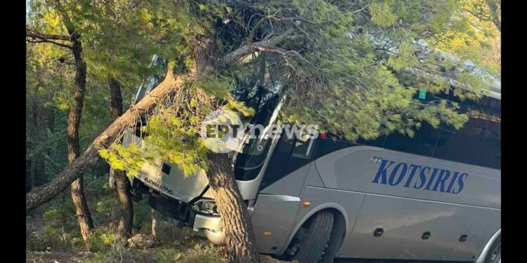 Αχαρνές: Πούλμαν του καζίνο εξετράπη της πορείας του και προσέκρουσε σε δέντρο – Δεν υπάρχουν τραυματίες