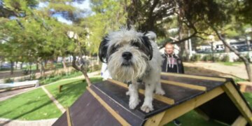 Ιταλία: Στη Βενετία τα κατοικίδια θα μπορούν να ενταφιάζονται δίπλα στους κηδεμόνες τους