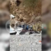 Πιερία: Πραγματογνώμονες μεταβαίνουν στο σημείο της τραγωδίας με το μονοκινητήριο αεροσκάφος
